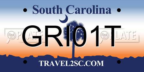GRI01T South Carolina License Plate