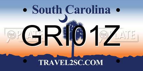GRI01Z South Carolina License Plate
