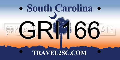 GRI166 South Carolina License Plate