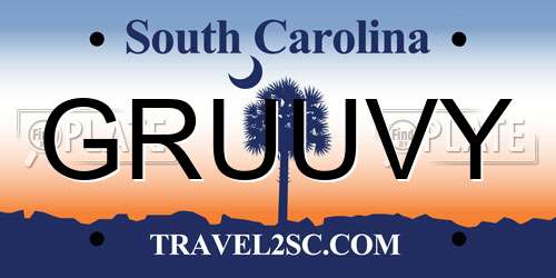 GRUUVY South Carolina License Plate
