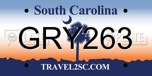 GRY263 South Carolina License Plate