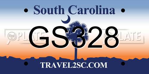 GS328 South Carolina License Plate