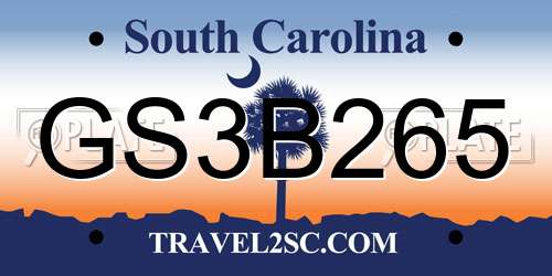 GS3B265 South Carolina License Plate
