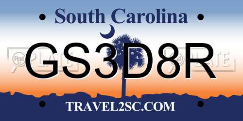 GS3D8R South Carolina License Plate