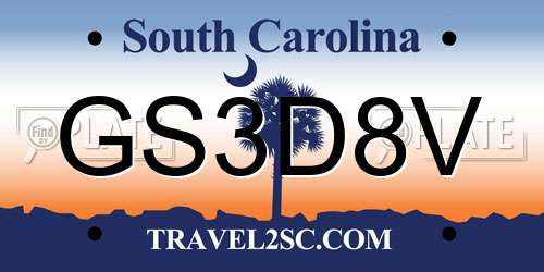 GS3D8V South Carolina License Plate