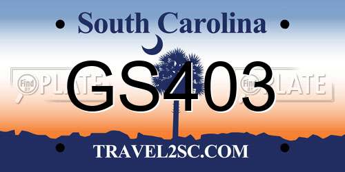 GS403 South Carolina License Plate