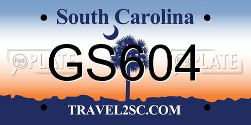 GS604 South Carolina License Plate