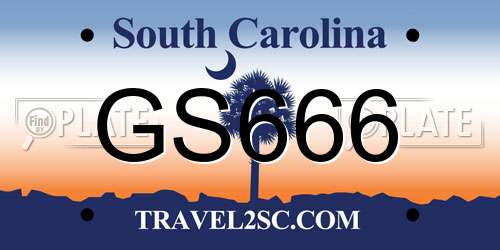 GS666 South Carolina License Plate