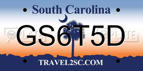 GS6T5D South Carolina License Plate