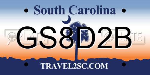 GS8D2B South Carolina License Plate
