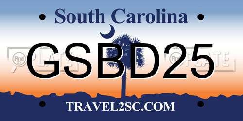 GSBD25 South Carolina License Plate