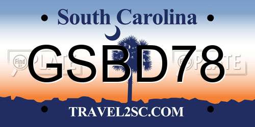 GSBD78 South Carolina License Plate