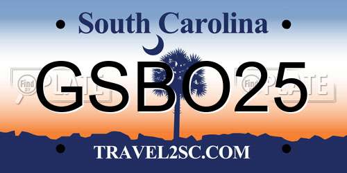GSBO25 South Carolina License Plate