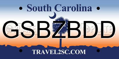 GSBZBDD South Carolina License Plate