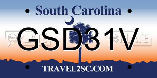 GSD31V South Carolina License Plate