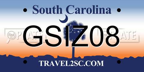 GSIZ08 South Carolina License Plate