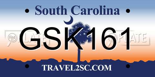 GSK161 South Carolina License Plate