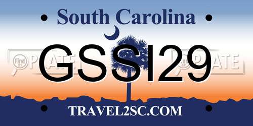 GSSI29 South Carolina License Plate
