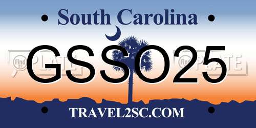 GSSO25 South Carolina License Plate