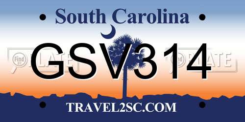 GSV314 South Carolina License Plate