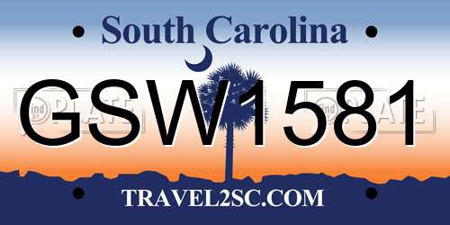 GSW1581 South Carolina License Plate