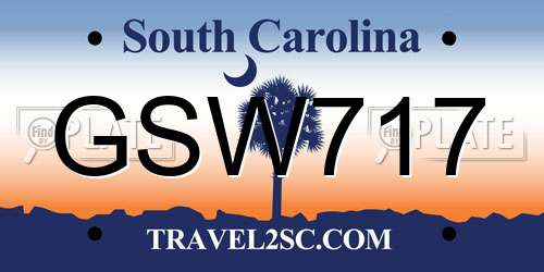 GSW717 South Carolina License Plate
