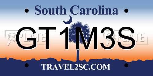 GT1M3S South Carolina License Plate