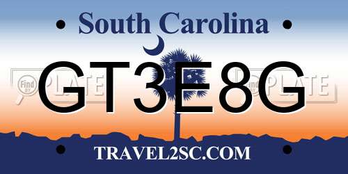 GT3E8G South Carolina License Plate