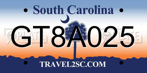 GT8A025 South Carolina License Plate
