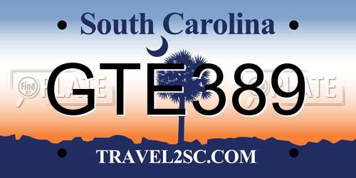 GTE389 South Carolina License Plate