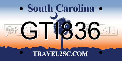 GTI836 South Carolina License Plate