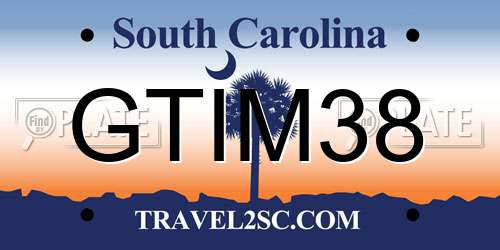 GTIM38 South Carolina License Plate