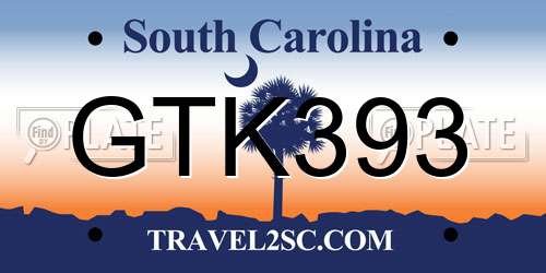 GTK393 South Carolina License Plate