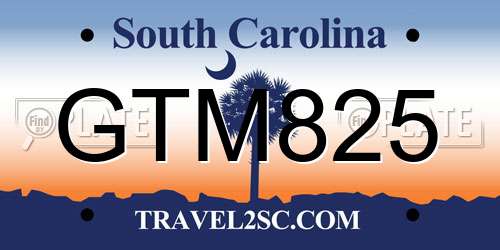 GTM825 South Carolina License Plate