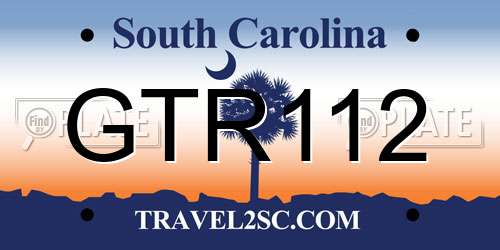GTR112 South Carolina License Plate