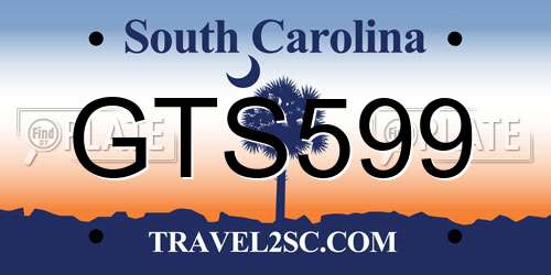 GTS599 South Carolina License Plate