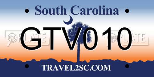 GTV010 South Carolina License Plate