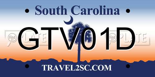 GTV01D South Carolina License Plate