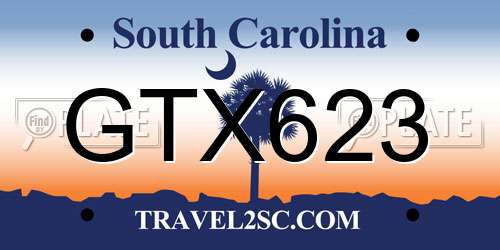 GTX623 South Carolina License Plate