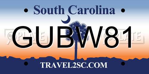 GUBW81 South Carolina License Plate