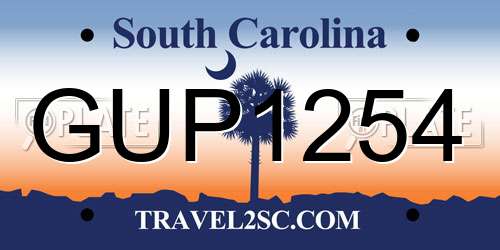 GUP1254 South Carolina License Plate