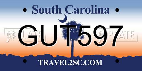 GUT597 South Carolina License Plate