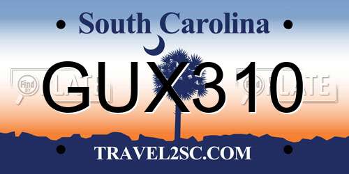 GUX310 South Carolina License Plate