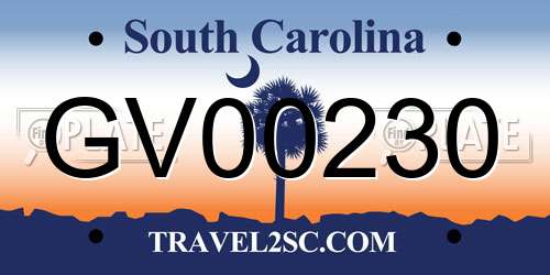 GV00230 South Carolina License Plate