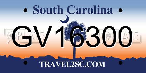 GV16300 South Carolina License Plate