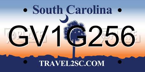 GV1G256 South Carolina License Plate