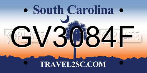 GV3084F South Carolina License Plate