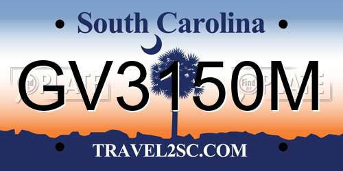 GV3150M South Carolina License Plate
