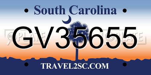 GV35655 South Carolina License Plate