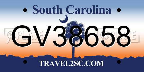 GV38658 South Carolina License Plate